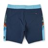 Bild von Side Scanner Sonar Boardshorts