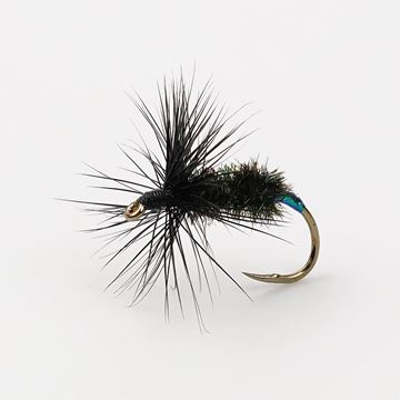 Immagine di Black Peacock #8